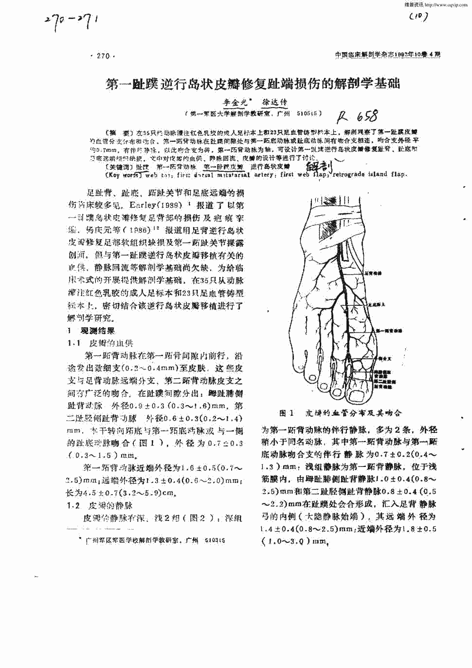 期刊第一趾蹼逆行岛状皮瓣修复趾端损伤的解剖学基础被引量:5    在