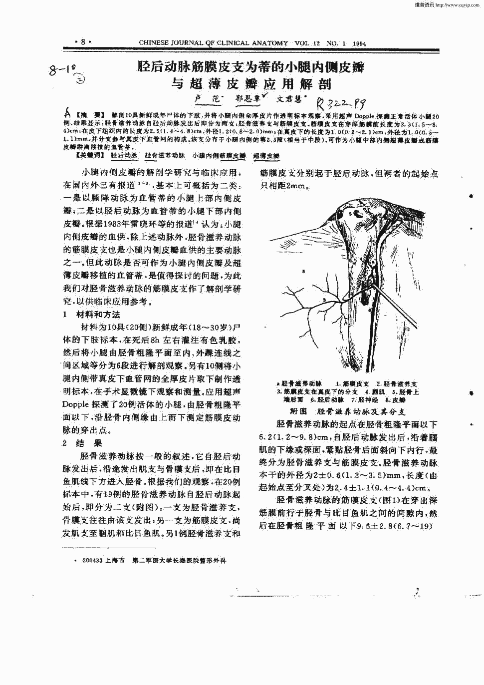 期刊胫后动脉筋膜皮支为蒂的小腿内侧皮瓣与超薄皮瓣应用解剖被引量