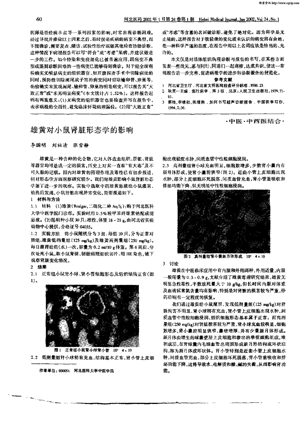 期刊雄黄对小鼠肾脏形态学的影响被引量:14     雄黄是一种含砷的