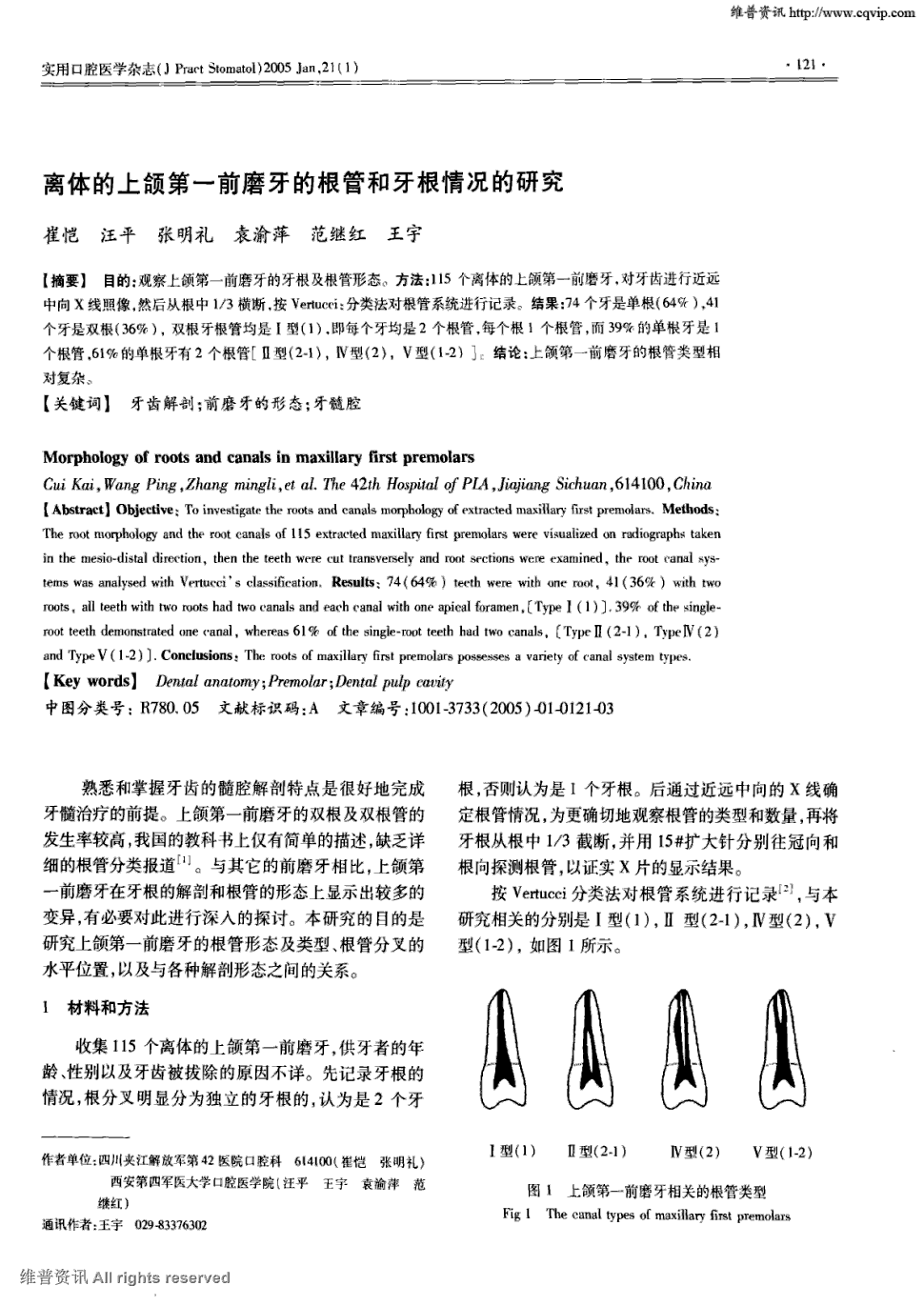 17        目的:观察上颌第一前磨牙的牙根及根管形态