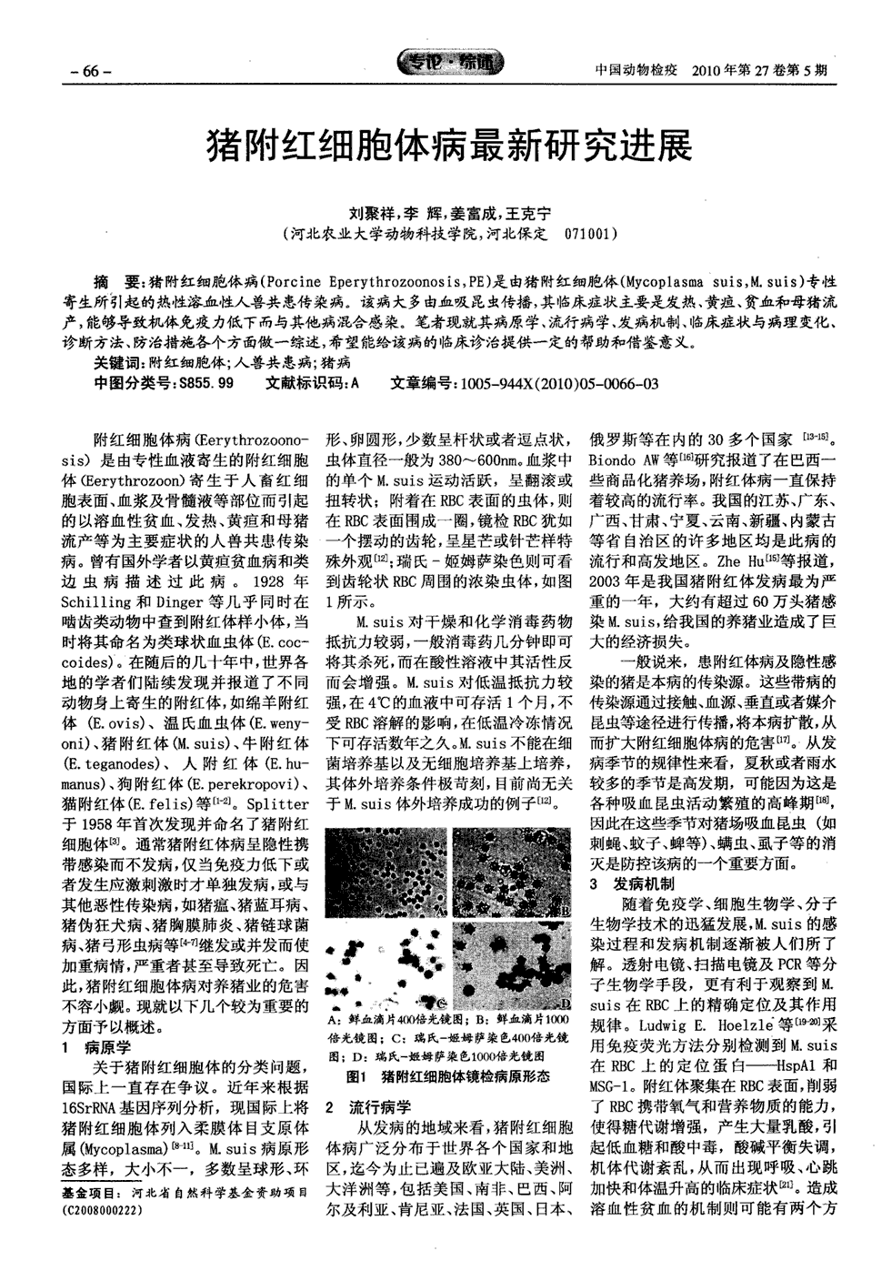 期刊猪附红细胞体病最新研究进展被引量:10