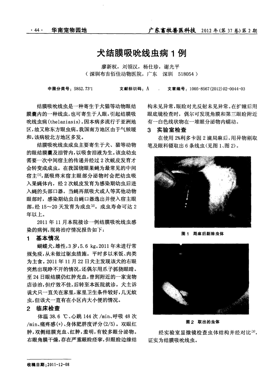 期刊犬结膜吸吮线虫病1例被引量:1      结膜吸吮线虫是一种寄生于