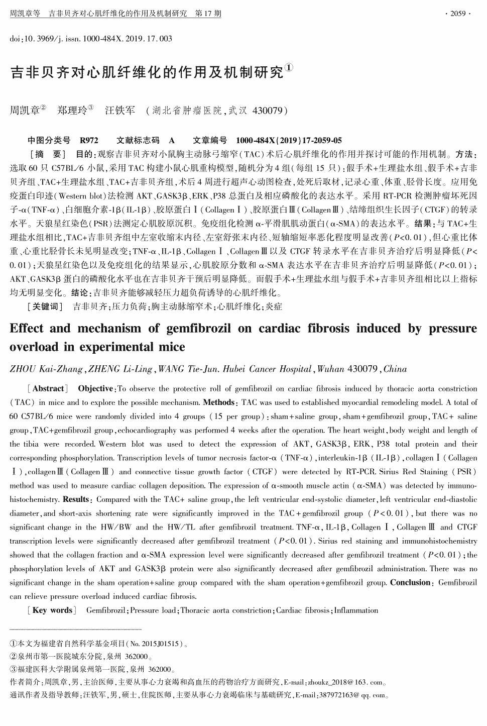 期刊吉非贝齐对心肌纤维化的作用及机制研究