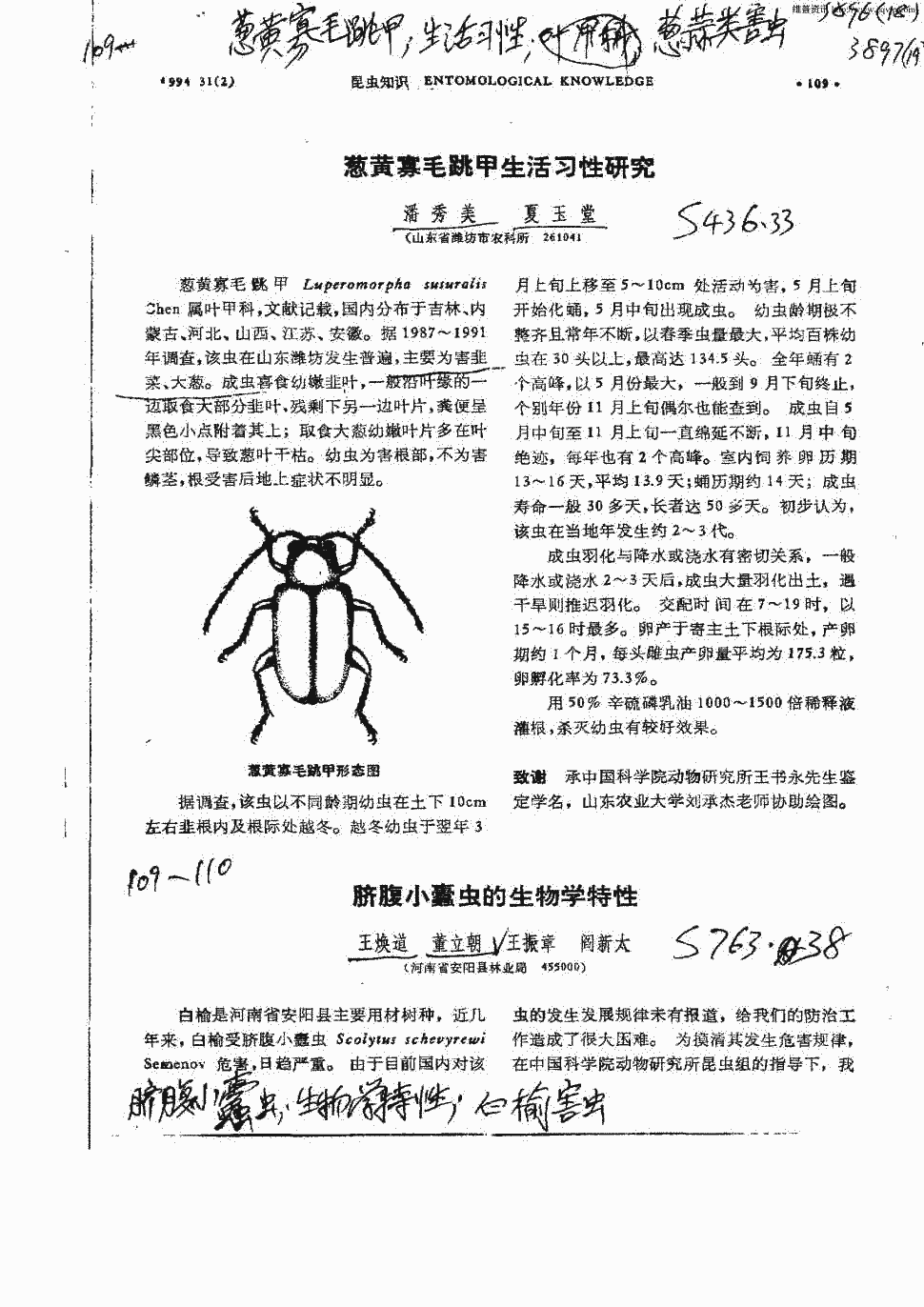 太空钻脐虫2脐虫泛滥图片