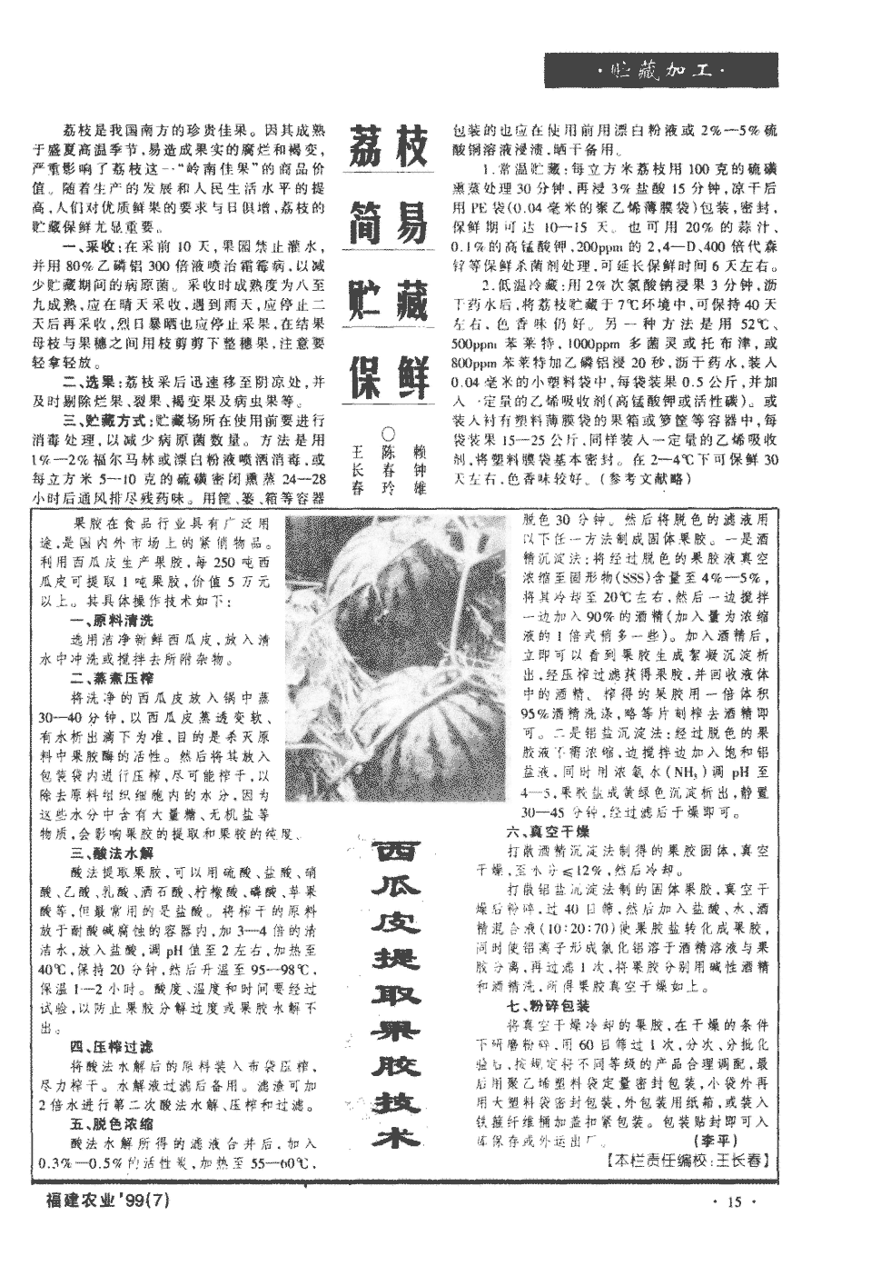 期刊荔枝简易贮藏保鲜 荔枝是我国南方的珍贵佳果.